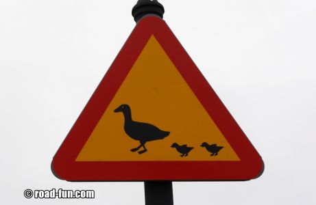 Gefahrenschild Schweden - Enten