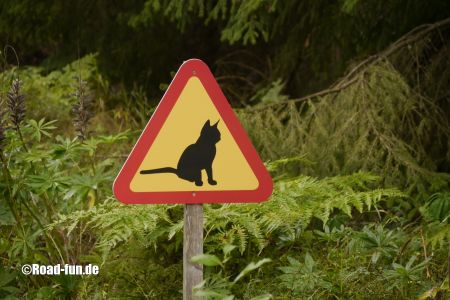 Gefahrenschild Schweden - Katze
