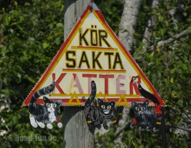 Gefahrenschild Schweden - Katzen