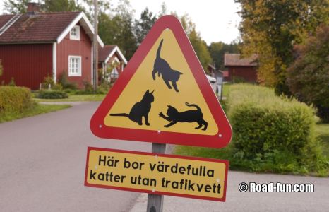 Gefahrenschild Schweden - Wertvolle Katzen ohne Verkehrskenntnisse