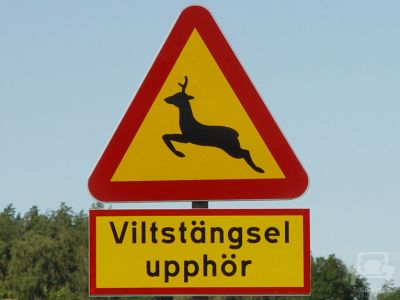 Gefahrenschild Schweden - Wildwechsel / Wildzaun Ende