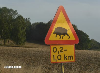 Gefahrenschild Schweden - Wildschwein