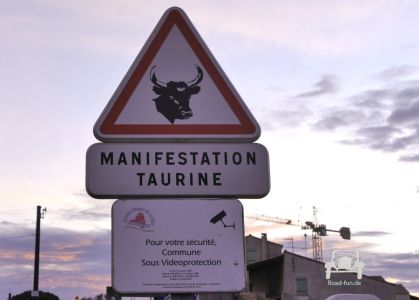 Gefahrenschild freilaufende Stiere - Frankreich