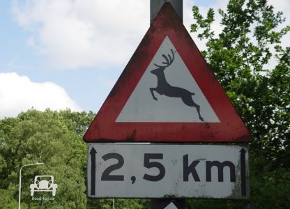 Verkehrsschild Strasse Gefahr Tiere Wildwechsel Niederlande 